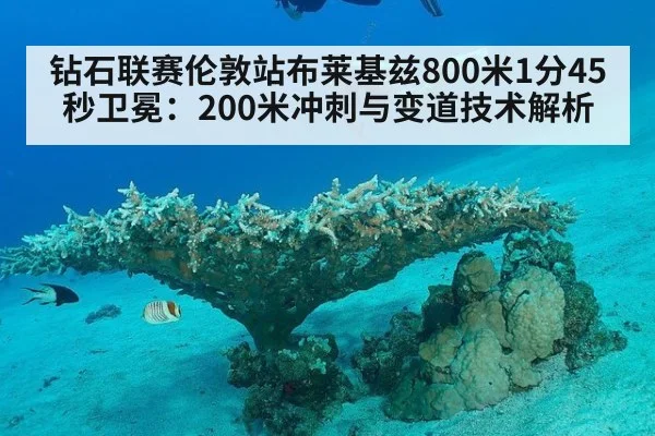钻石联赛伦敦站布莱基兹800米1分45秒卫冕：200米冲刺与变道技术解析