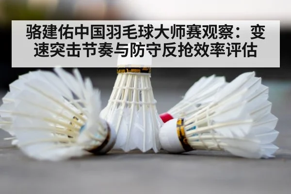 badminton shuttlecock court