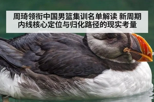 周琦领衔中国男篮集训名单解读 新周期内线核心定位与归化路径的现实考量